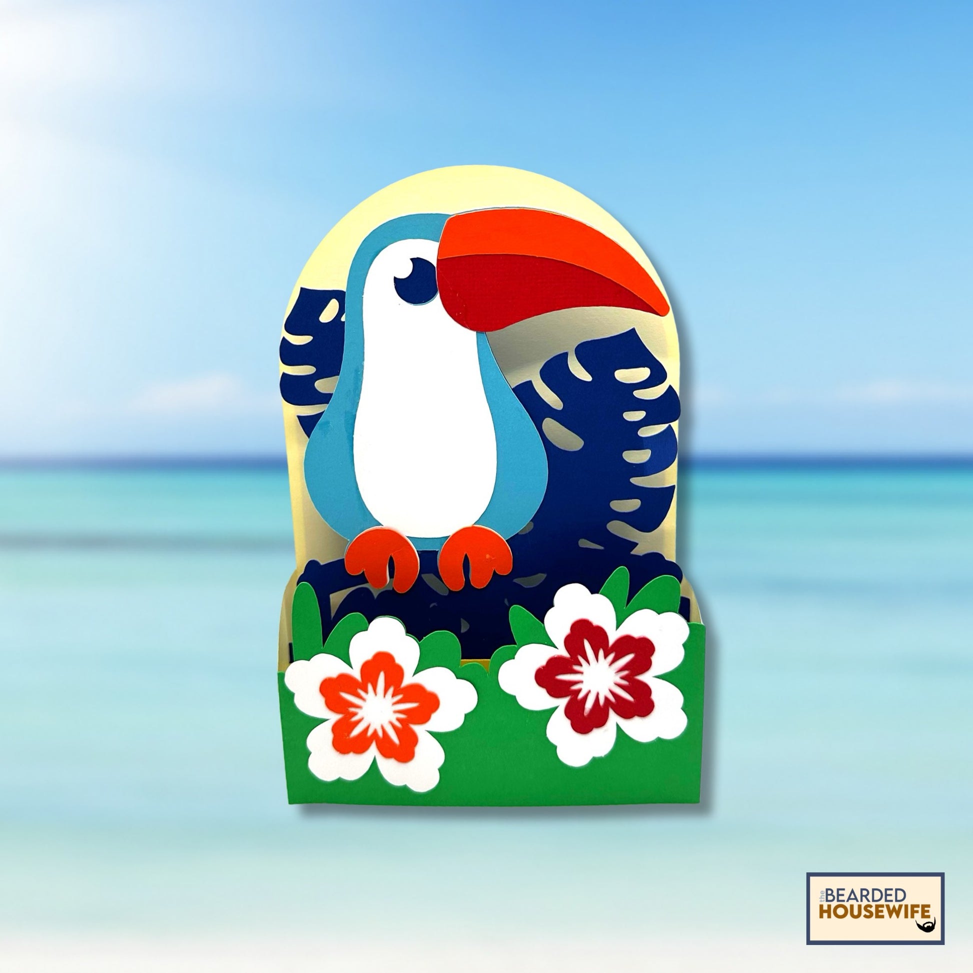 toucan box card