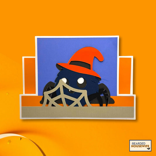 spider stepper card