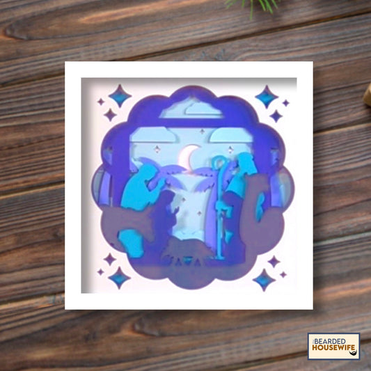 nativity shadow box